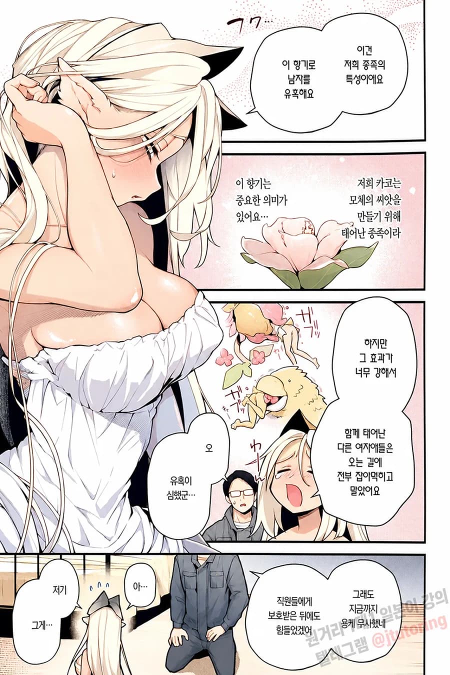 멸종위기 회피 파일: 과미수의 실자의 경우