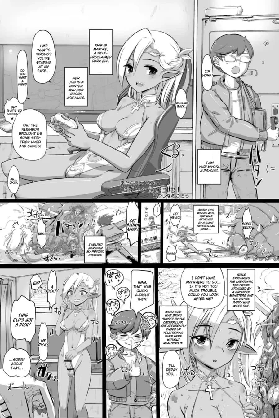 Hibarigaoka Housing Complex!